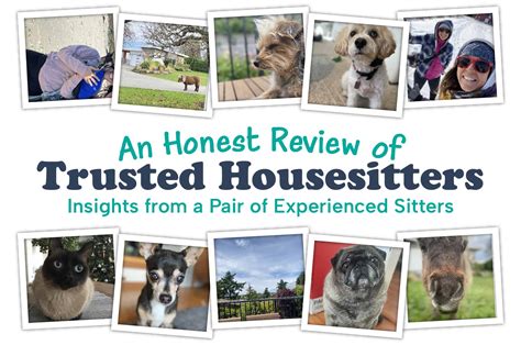 Trusted Housesitters Review From Pro Sitters + A Discount Code - The ...