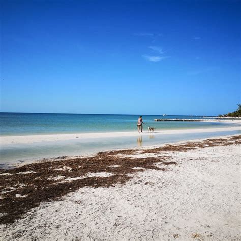 REFUGIO HOLBOX (2026) All You Need to Know BEFORE You Go (with Photos ...