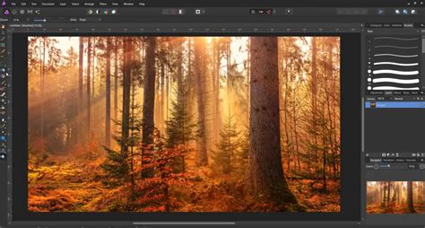 Rezultat imagine pentru Affinity Designer How To