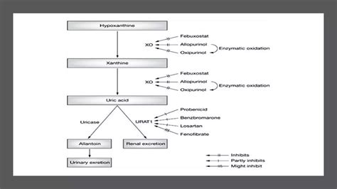 Febuxostat vs Allopurinol. | PPTX