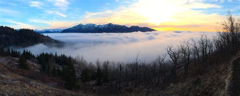 About Us - Alaska Community Foundation