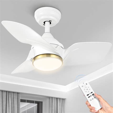 Dextrus 26" Modern Ceiling Fan with with Light and Remote Control, 3 ...