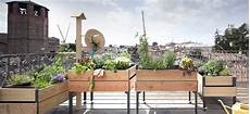 come fare l orto sul terrazzo come fare l orto sul balcone guide come fare l orto sul terrazzo come fare l orto sul balcone guide