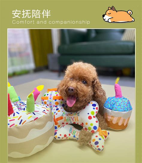 带什么礼物给狗狗最新素材