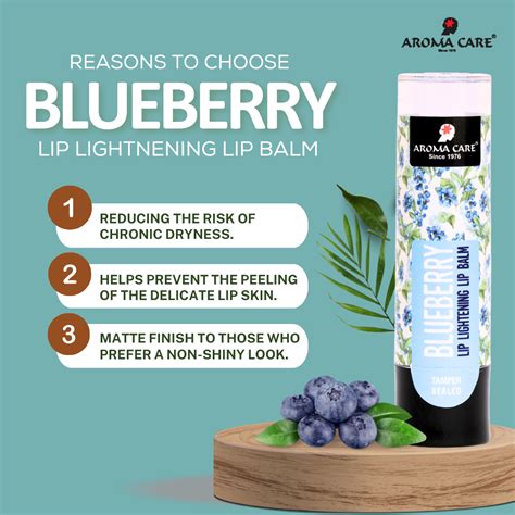 Blueberry Lip Balm for Soft, Naturally Pink Lips 4.7g – Aroma Care