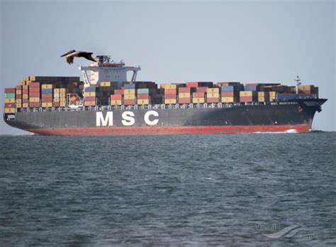 MSC MARIANNA, Container Ship - Details and current position - IMO ...