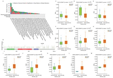 Antiviral Potential of Small Molecules Cordycepin, Thymoquinone, and N6 ...