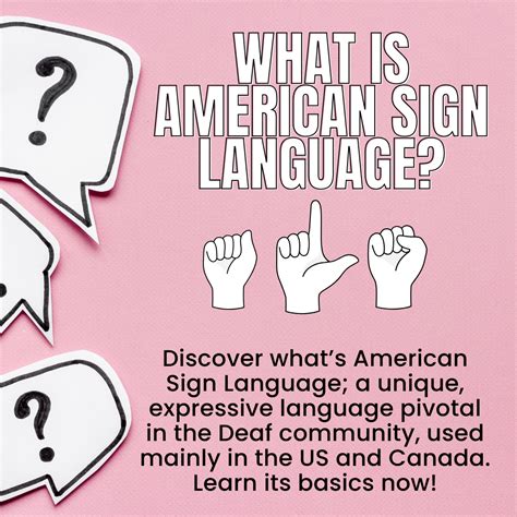 Image result for American Sign Language Basic Signs