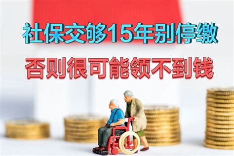 社保交够15年别停缴，否则可能领不到养老金，3大待遇将随之下滑|养老金|缴费年限|待遇_新浪新闻