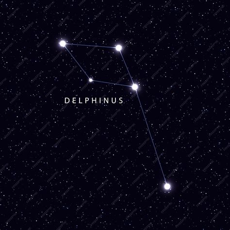 Premium Vector | Sky map with the name of the stars and constellations ...