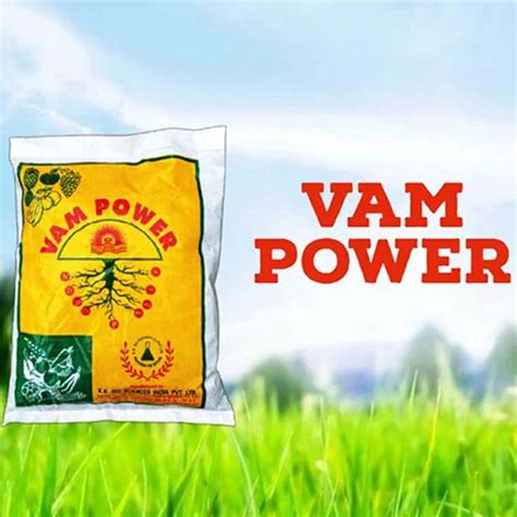 Buy Vam Powder (Mycorrhizal Fungi Root VAM Powder) | Sam's Garden ...