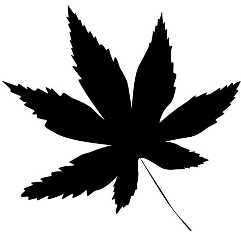 SVG > marijuana no weed characters - Free SVG Image & Icon. | SVG Silh