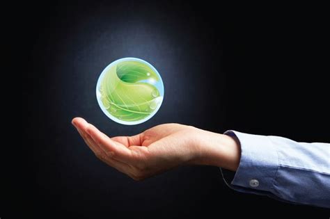 Ecology Examples 的图像结果