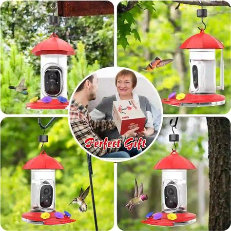 Hummingbird SMART Feeder with AI Camera - 1080P Wireless Watching