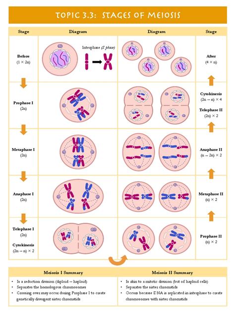 Image result for Example of Engineering Problem Equations