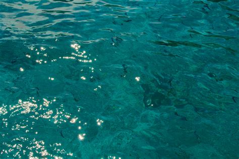 Sea Texture High Resolution 的图像结果