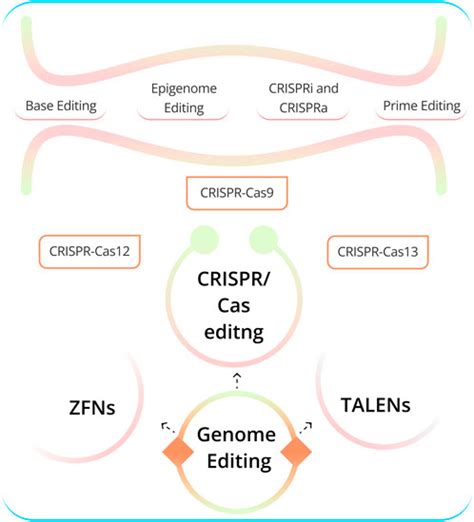 Image result for CRISPR Tutorial