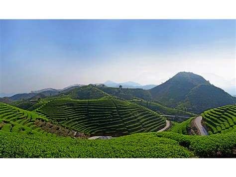 广东潮州茶山凤凰山采茶_茶叶种植基地航拍_4096X2304_高清视频素材下载(编号:6682197)_实拍视频_光厂(VJ师网) www ...