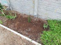 Communitree - Tow Path - Site #53