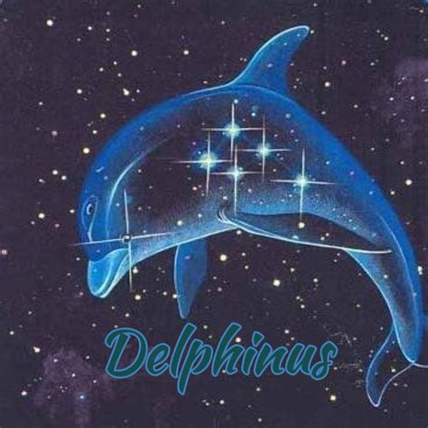 Delphinus Constellation