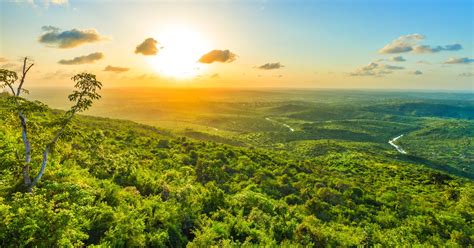 EU Deforestation Regulation (EUDR) Due Diligence System Verification