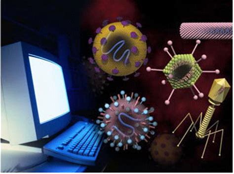 计算机中毒(计算机病毒主要通过什么途径传播，常见的病毒，电脑中毒的症状)-优刊号