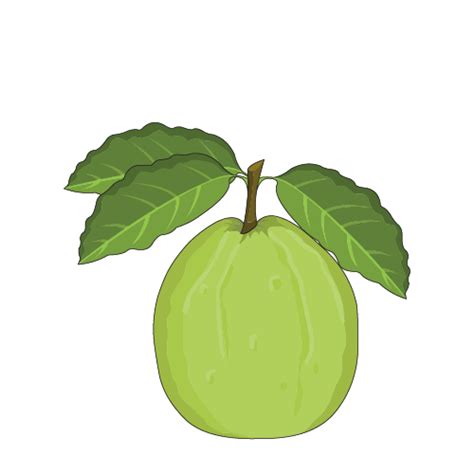 Custard Apple Fruit Guard Bags: Protect & Enhance!