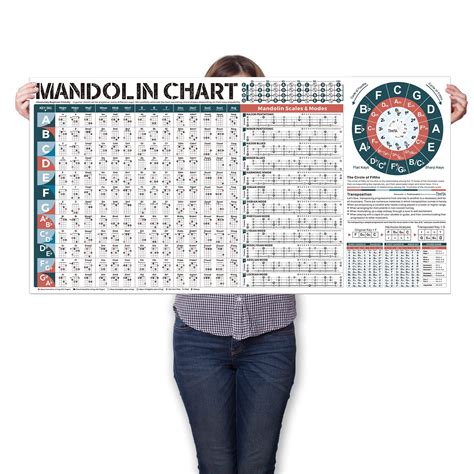 Buy Mandolin Chord Scales Chart - Master Popular Mandolin Chords ...
