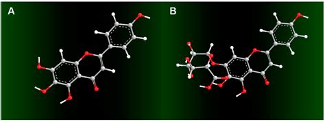 Dual Effect of Glucuronidation of a Pyrogallol-Type Phytophenol ...