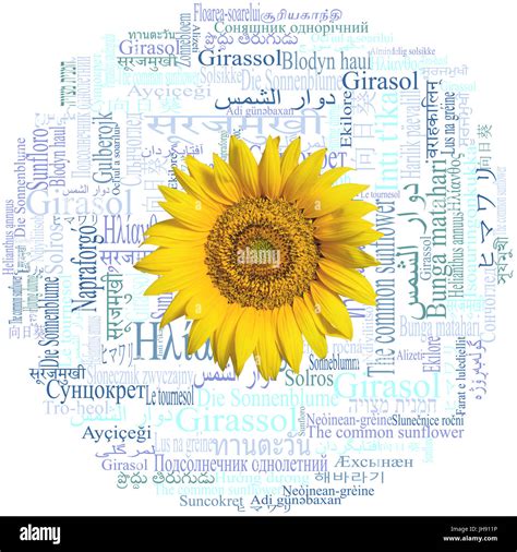 Beautiful In Different Languages Beautiful Girl With A Banner Of