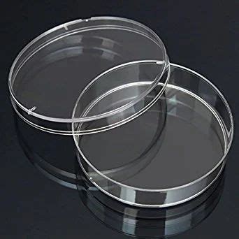 PETRI DISHES - Petri Dish 90 mm Manufacturer from Mumbai