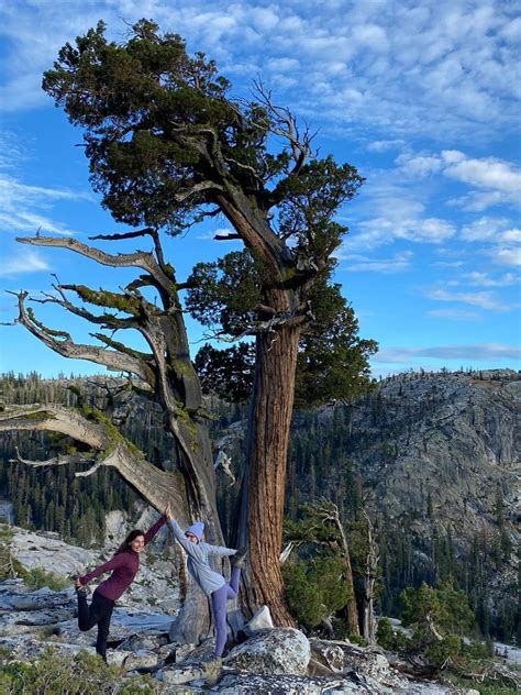 Wild Within: A Backpacking Journey Back to Self Under the Sierra Stars ...