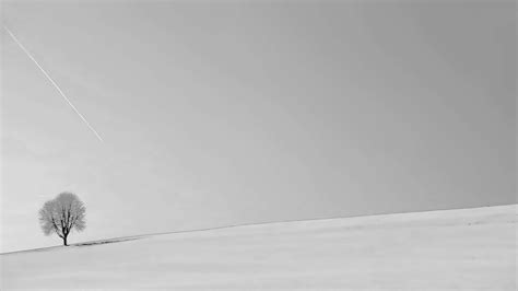 Desktop Background Simple 的图像结果