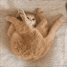 Image result for Software Engineer Is Problem Solver