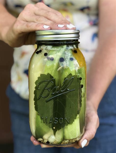 Fermented Pickles – HAPPY HOLISTIC HOMESTEAD