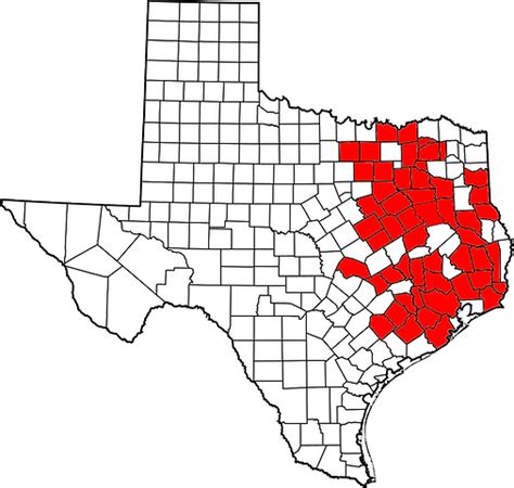 Image result for Texas Exploding Heart Quilt Block Pattern