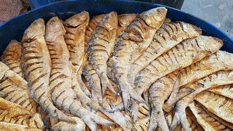 বাড়িতেই বানান ইলিশ শুঁটকি, এভাবে রাখলে চেটেপুটে খাবেন একবছর ধরে ...