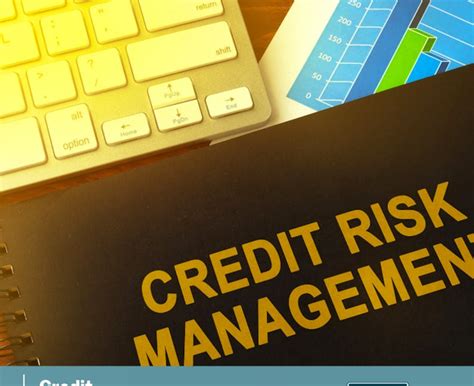 Credit-Risk Course 的图像结果