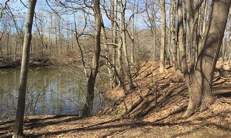 Lincroft Tourism (2023): Best of Lincroft, NJ - Tripadvisor