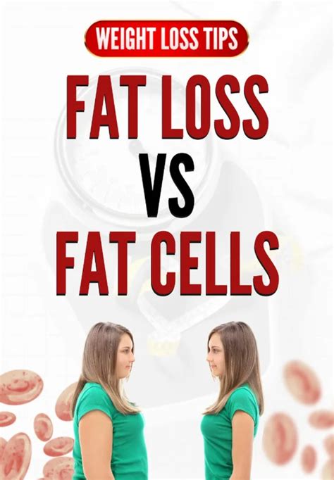 Fat Loss Vs Fat Cells | Weight Loss Tips