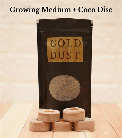 Rakhi Gardening Gifts - (Junior Grow Kit with tools - 1 Rakhi)