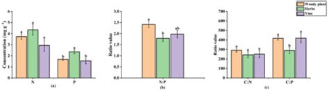 Leaf Nitrogen and Phosphorus Stoichiometry and Its Response to ...