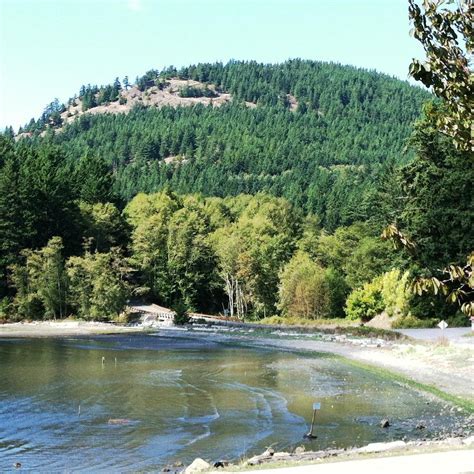 BUCK BAY SHELLFISH FARM (2025) All You Need to Know BEFORE You Go (with ...