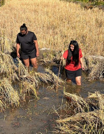 Image result for Fish Breeding