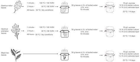 Quercus robur and pyrenaica: The Potential of Wild Edible Plants for ...