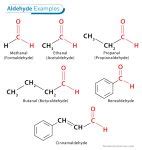 Image result for Computer Lab Manual Class 12