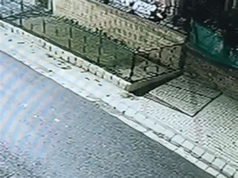 Shooter arrested in firing at Pinky Dhaliwal's house