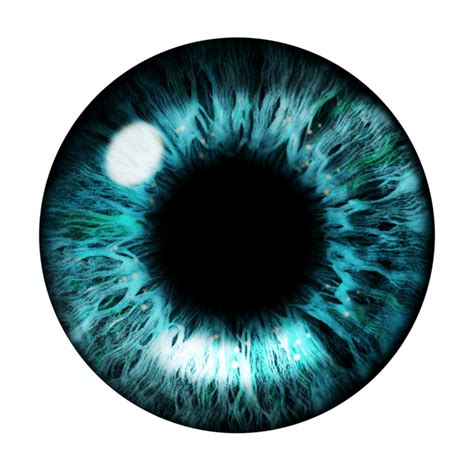 Realistic Eye PNGs for Free Download