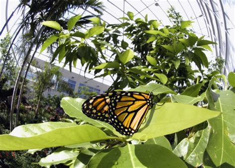 Visit Gainesville, Alachua County, FL in Gainesville | VISIT FLORIDA