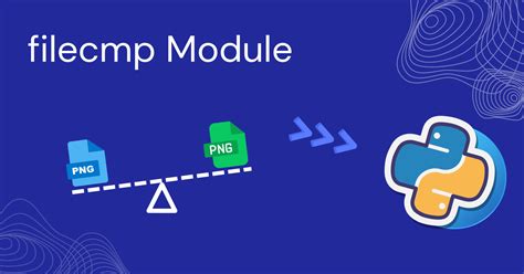 Image result for Filecmp Python